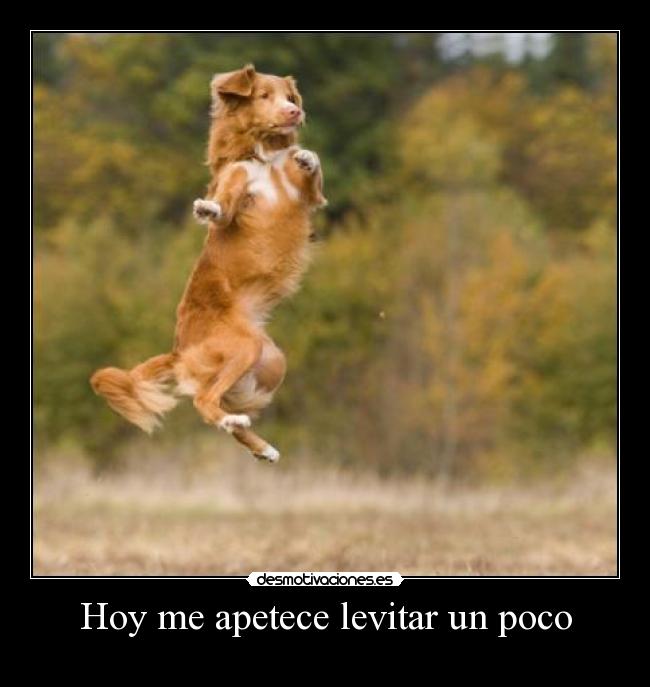 Hoy me apetece levitar un poco - 