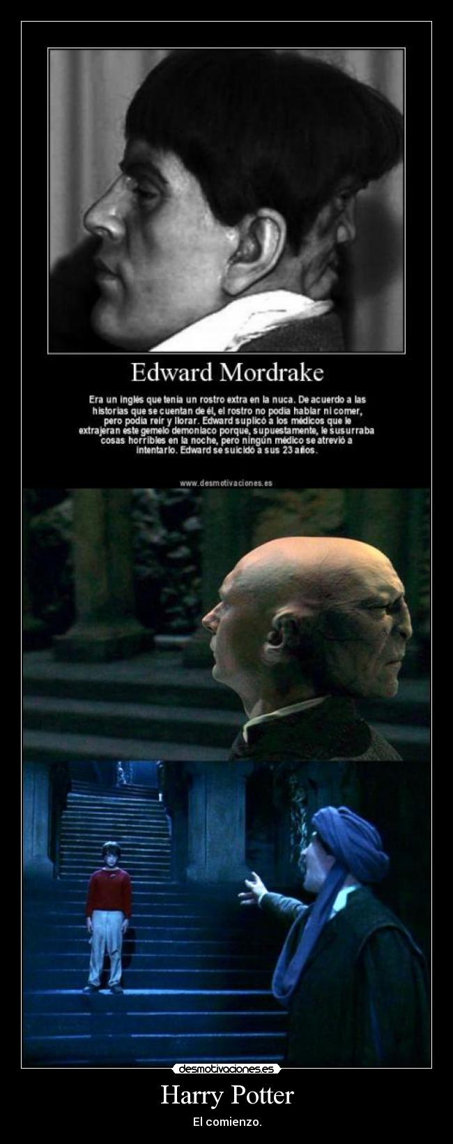 Harry Potter - 