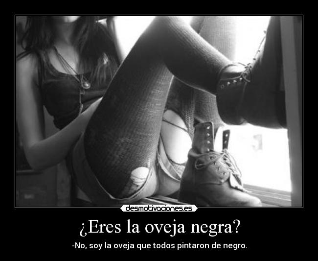 ¿Eres la oveja negra? - 