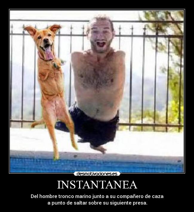 INSTANTANEA - 