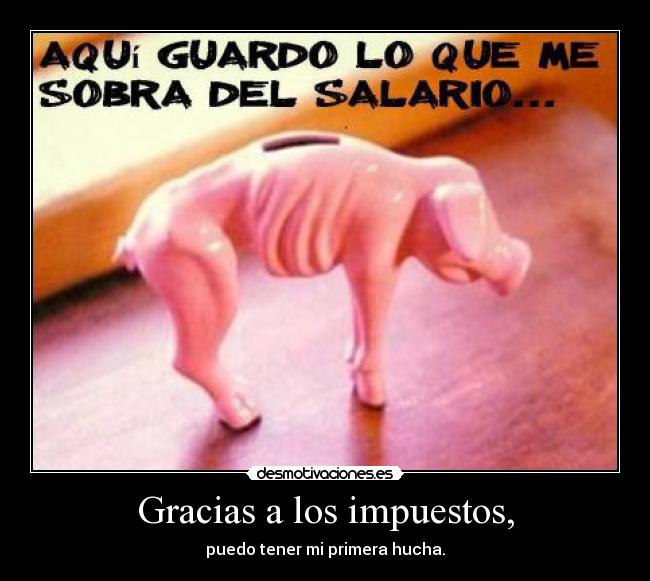 Gracias a los impuestos, - puedo tener mi primera hucha.