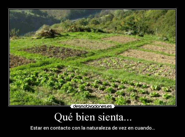 Qué bien sienta... -