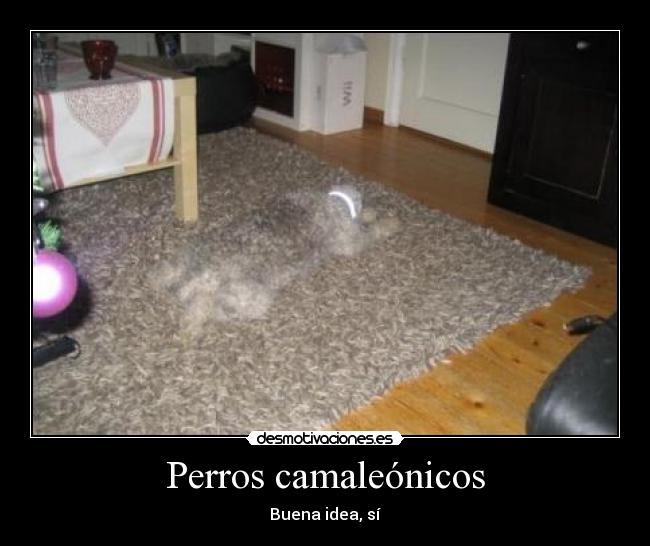 Perros camaleónicos - 