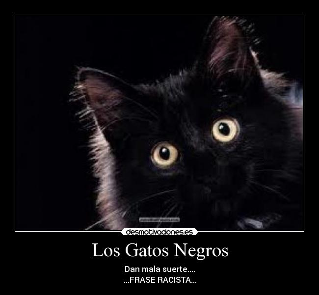 Los Gatos Negros - Dan mala suerte....
...FRASE RACISTA...