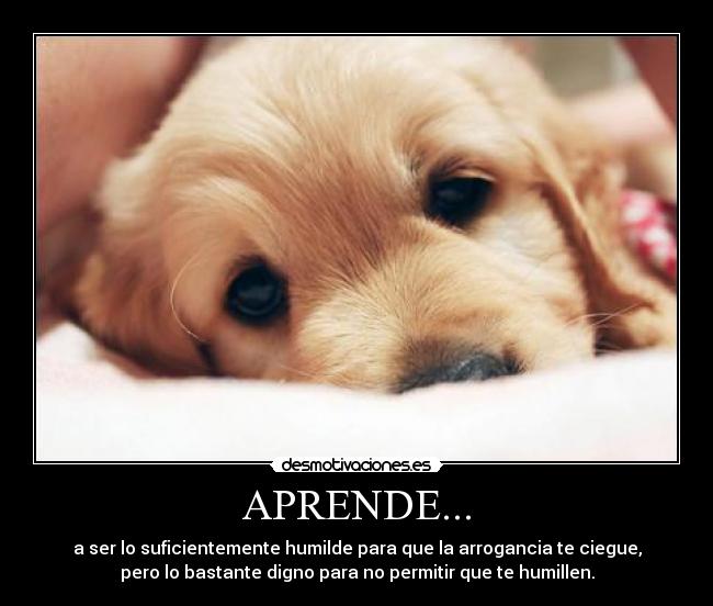 APRENDE... - a ser lo suficientemente humilde para que la arrogancia te ciegue,
pero lo bastante digno para no permitir que te humillen.