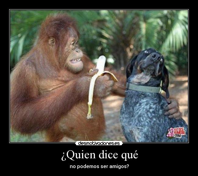 ¿Quien dice qué - no podemos ser amigos?