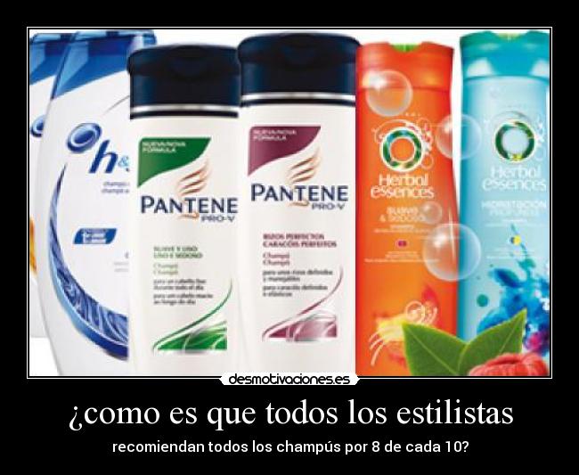 ¿como es que todos los estilistas - recomiendan todos los champús por 8 de cada 10?