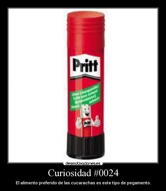 carteles pegamento alimento cucarachas desmotivaciones