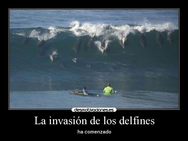 carteles invasion delfines los simpsons tenian razon jogete tambien djstalin tambien desmotivaciones