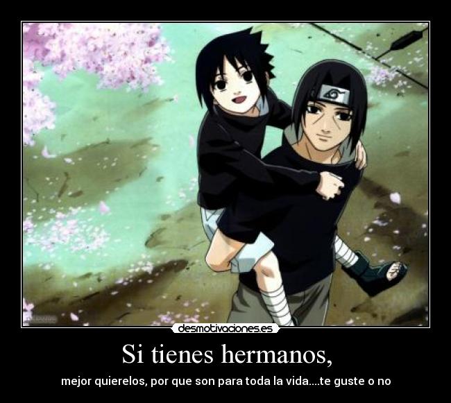 Si tienes hermanos, - mejor quierelos, por que son para toda la vida....te guste o no