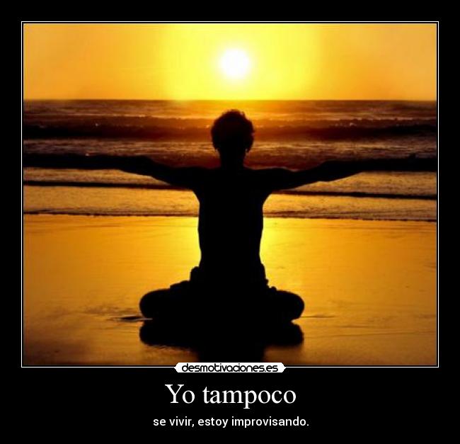 Yo tampoco - se vivir, estoy improvisando.