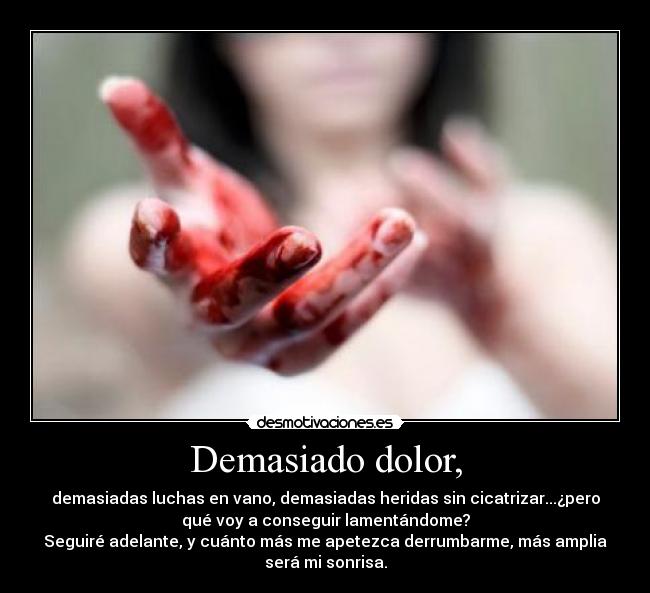 Demasiado dolor, - demasiadas luchas en vano, demasiadas heridas sin cicatrizar...¿pero
qué voy a conseguir lamentándome?
Seguiré adelante, y cuánto más me apetezca derrumbarme, más amplia
será mi sonrisa.