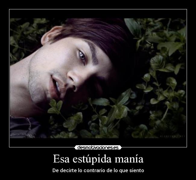 Esa estúpida manía - De decirte lo contrario de lo que siento