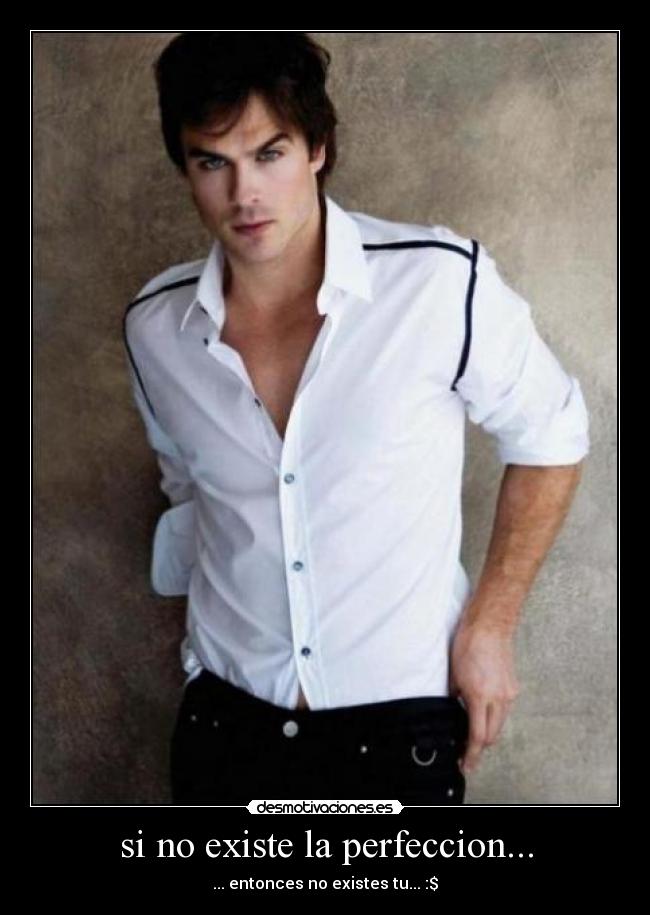 si no existe la perfeccion... -