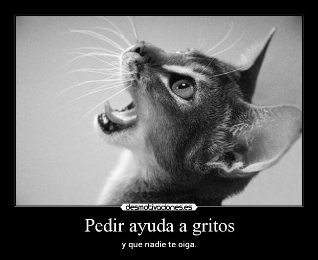 Pedir ayuda a gritos - 