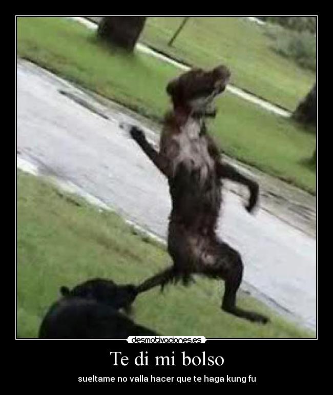 Te di mi bolso - sueltame no valla hacer que te haga kung fu