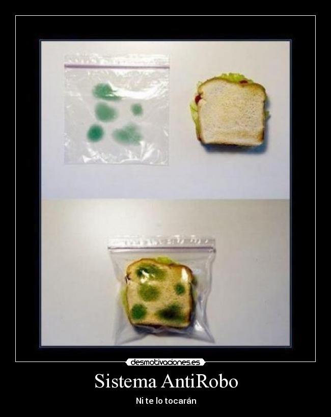 Sistema AntiRobo - 