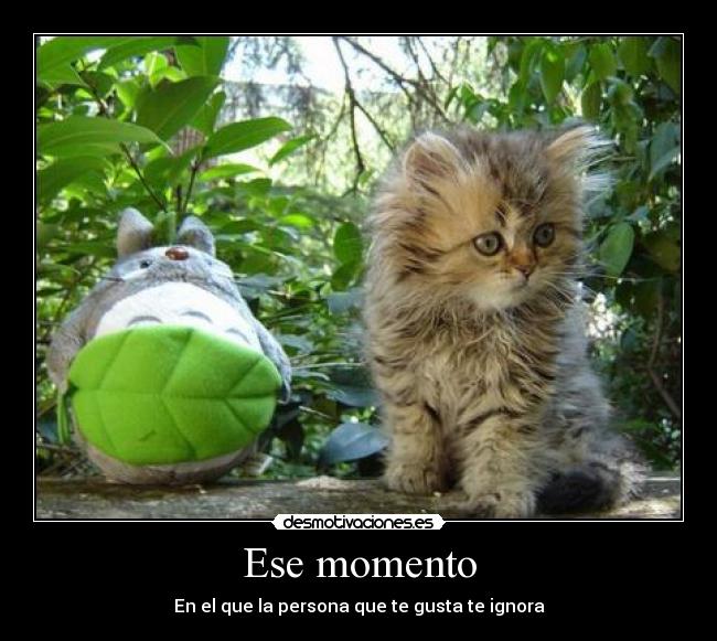 carteles ignora desmotivaciones