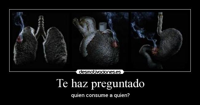 Te haz preguntado - quien consume a quien?