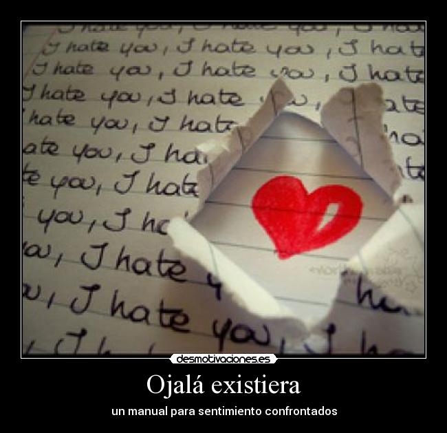 Ojalá existiera - un manual para sentimiento confrontados