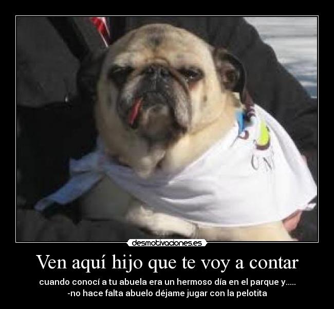 Ven aquí hijo que te voy a contar - cuando conocí a tu abuela era un hermoso día en el parque y.....
-no hace falta abuelo déjame jugar con la pelotita