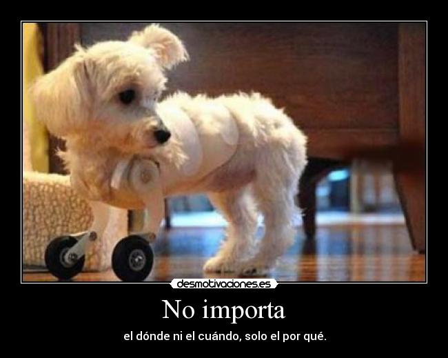 No importa - el dónde ni el cuándo, solo el por qué.