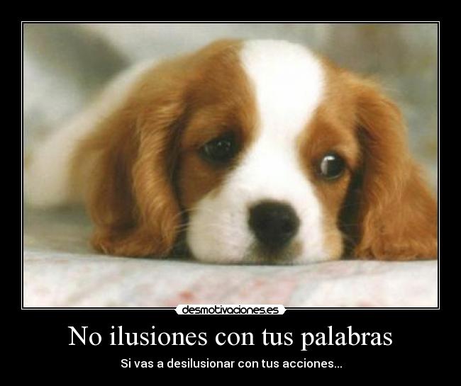 No ilusiones con tus palabras -