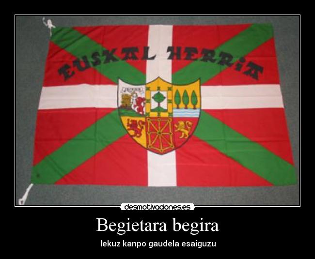 Begietara begira - 