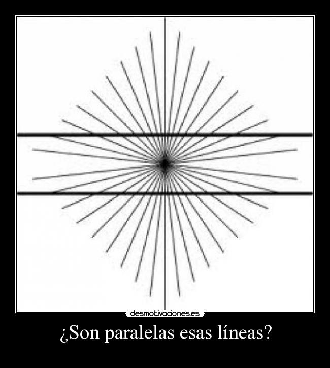 ¿Son paralelas esas líneas? -