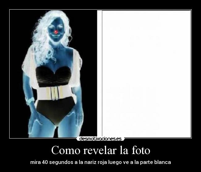 Como revelar la foto - mira 40 segundos a la nariz roja luego ve a la parte blanca