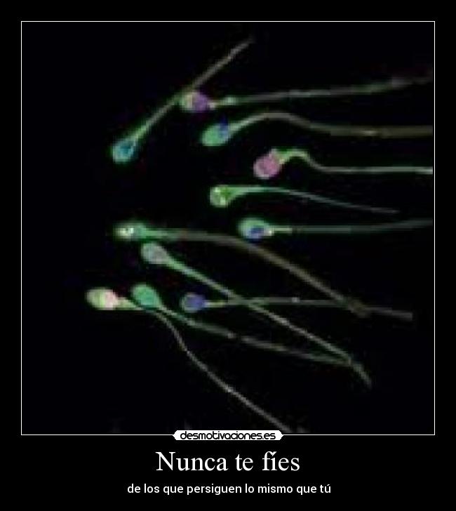 Nunca te fíes - de los que persiguen lo mismo que tú