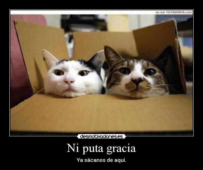 Ni puta gracia - Ya sácanos de aquí.
