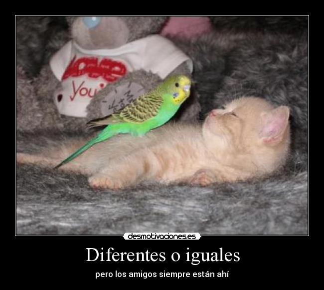 Diferentes o iguales - 