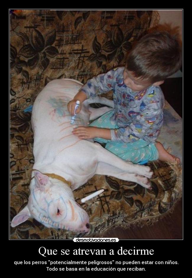 carteles susanita tiene raton muy flipy89 resubido que quiere mucho desmotivaciones