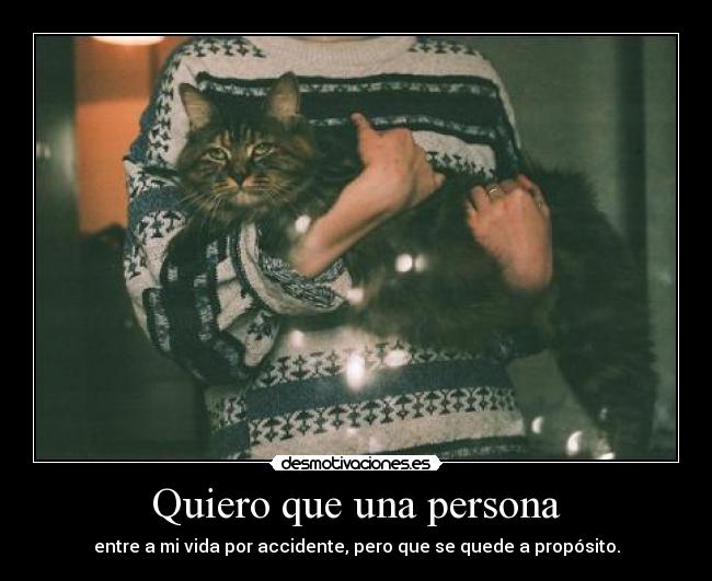 Quiero que una persona -