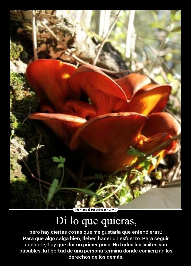 Di lo que quieras, - pero hay ciertas cosas que me gustaría que entendieras.:
Para que algo salga bien, debes hacer un esfuerzo. Para seguir
adelante, hay que dar un primer paso. No todos los límites son
pasables, la libertad de una persona termina donde comienzan los
derechos de los demás.