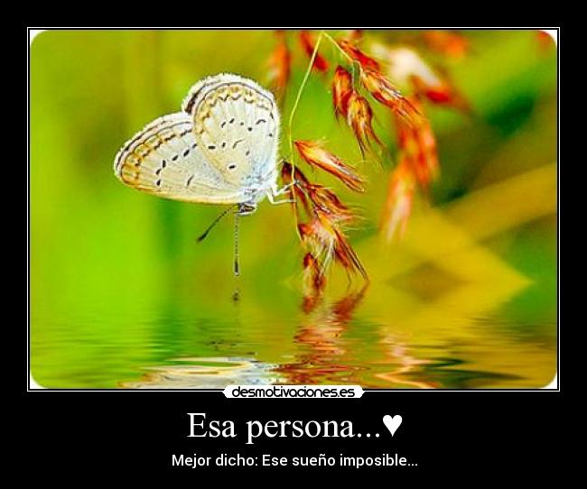 Esa persona...♥ - Mejor dicho: Ese sueño imposible...