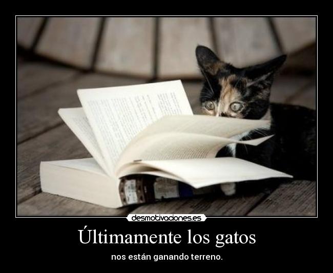 Últimamente los gatos - nos están ganando terreno.