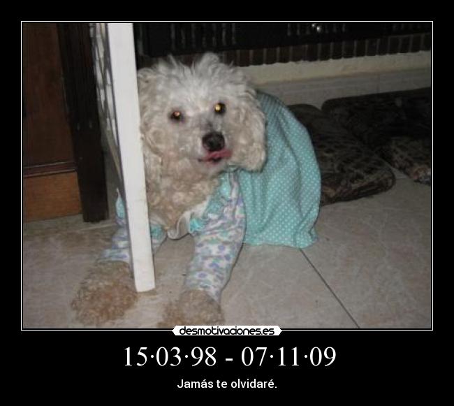 15·03·98 - 07·11·09 -