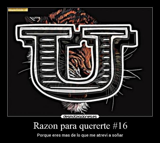 Razon para quererte #16 - Porque eres mas de lo que me atrevi a soñar