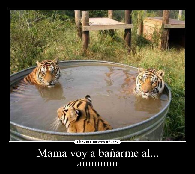 Mama voy a bañarme al... - ahhhhhhhhhhhhh