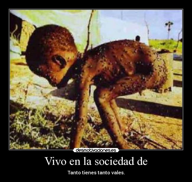 Vivo en la sociedad de - 