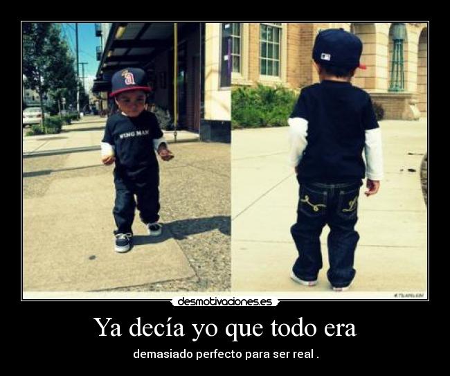 Ya decía yo que todo era - demasiado perfecto para ser real .