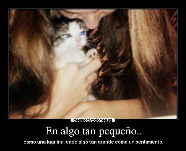 En algo tan pequeño.. - como una lagrima, cabe algo tan grande como un sentimiento.