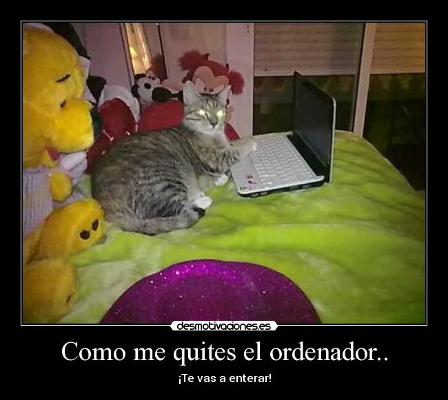 Como me quites el ordenador.. - 