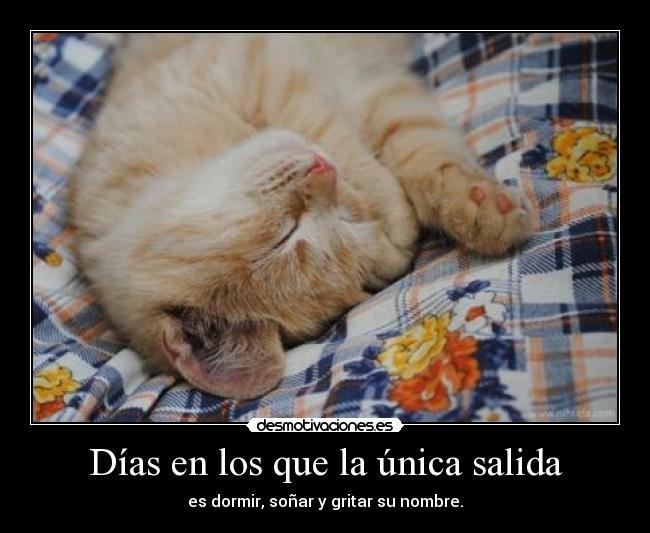 Días en los que la única salida -