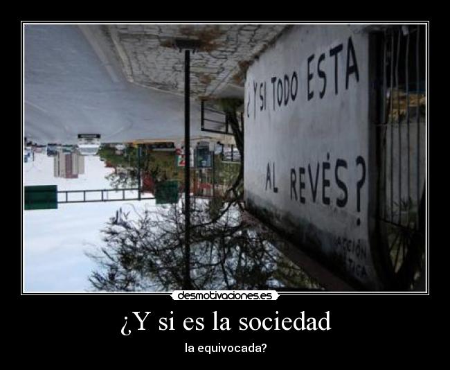 ¿Y si es la sociedad -