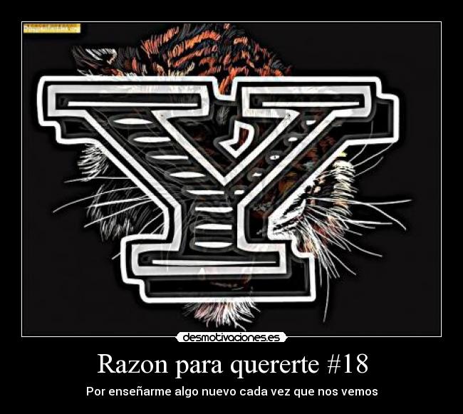 Razon para quererte #18 - Por enseñarme algo nuevo cada vez que nos vemos