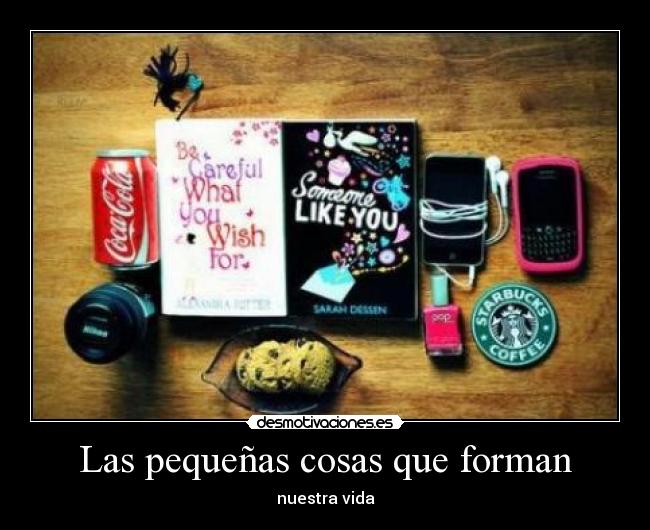 Las pequeñas cosas que forman -