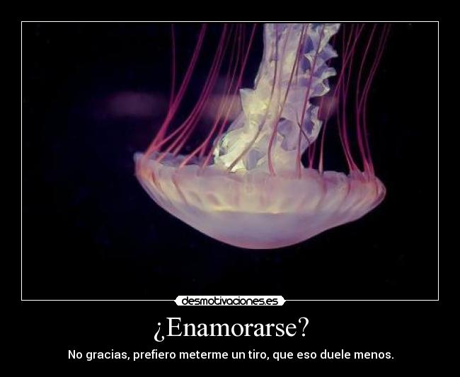 ¿Enamorarse? - 